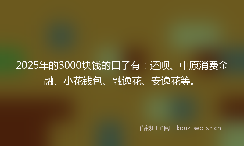 2025年的3000块钱的口子有：还呗、中原消费金融、小花钱包、融逸花、安逸花等。