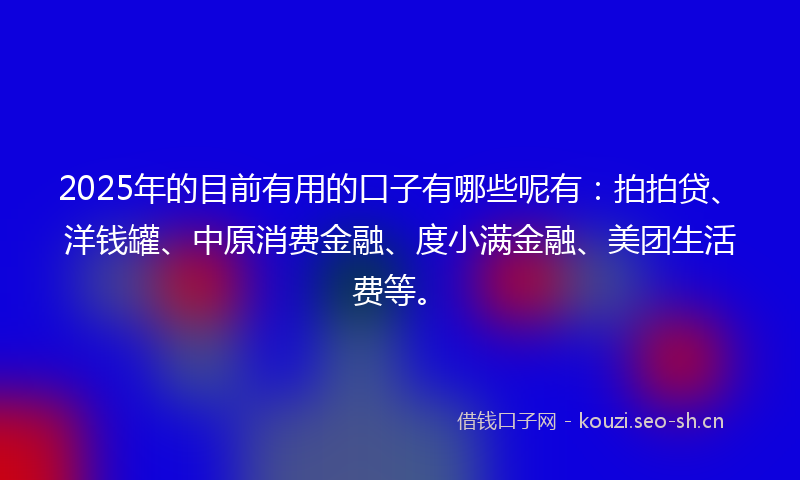 2025年的目前有用的口子有哪些呢有：拍拍贷、洋钱罐、中原消费金融、度小满金融、美团生活费等。
