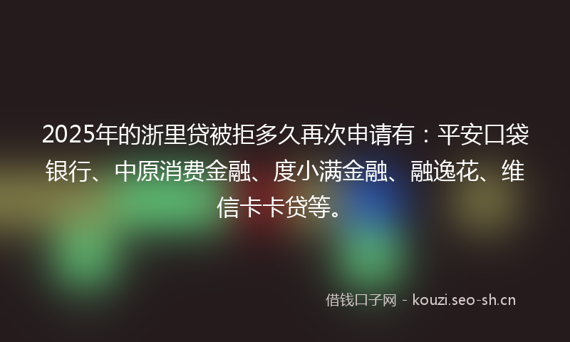 2025年的浙里贷被拒多久再次申请有：平安口袋银行、中原消费金融、度小满金融、融逸花、维信卡卡贷等。