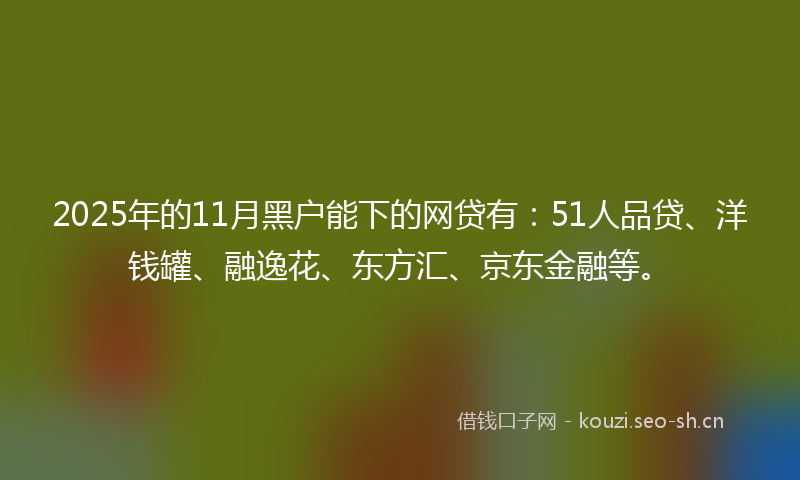 2025年的11月黑户能下的网贷有：51人品贷、洋钱罐、融逸花、东方汇、京东金融等。