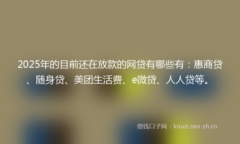 2025年的目前还在放款的网贷有哪些有：惠商贷、随身贷、美团生活费、e微贷、人人贷等。