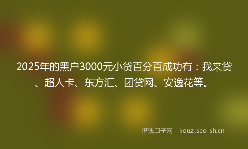 2025年的黑户3000元小贷百分百成功有：我来贷、超人卡、东方汇、团贷网、安逸花等。