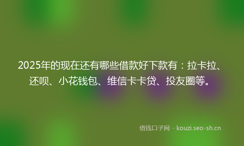 2025年的现在还有哪些借款好下款有：拉卡拉、还呗、小花钱包、维信卡卡贷、投友圈等。