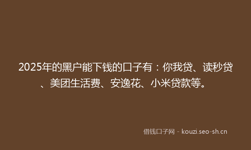 2025年的黑户能下钱的口子有：你我贷、读秒贷、美团生活费、安逸花、小米贷款等。