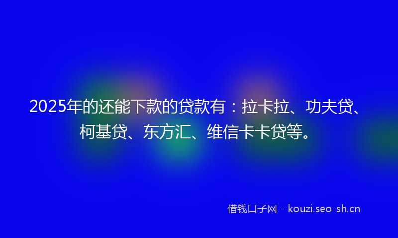 2025年的还能下款的贷款有：拉卡拉、功夫贷、柯基贷、东方汇、维信卡卡贷等。