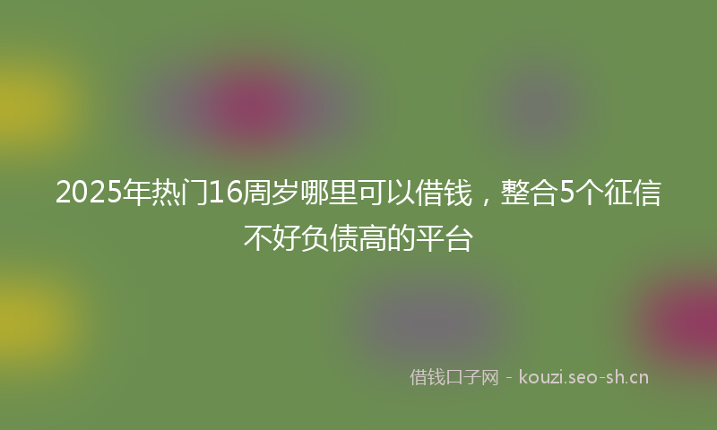 2025年热门16周岁哪里可以借钱，整合5个征信不好负债高的平台