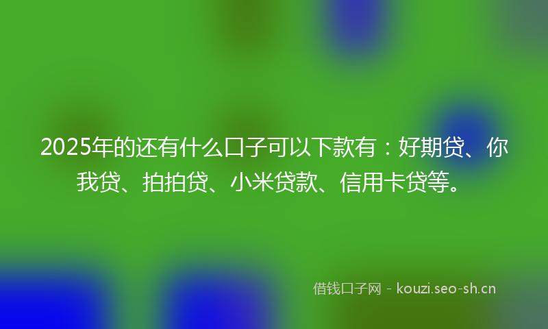 2025年的还有什么口子可以下款有：好期贷、你我贷、拍拍贷、小米贷款、信用卡贷等。