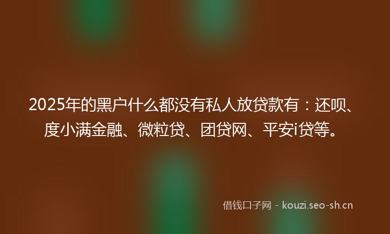 2025年的黑户什么都没有私人放贷款有：还呗、度小满金融、微粒贷、团贷网、平安i贷等。