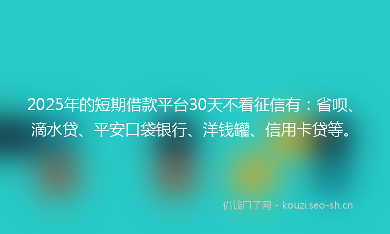 2025年的短期借款平台30天不看征信有：省呗、滴水贷、平安口袋银行、洋钱罐、信用卡贷等。