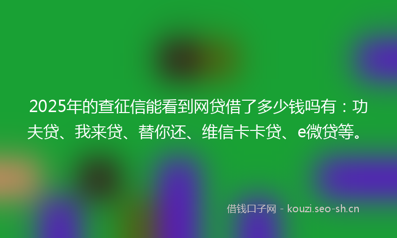 2025年的查征信能看到网贷借了多少钱吗有：功夫贷、我来贷、替你还、维信卡卡贷、e微贷等。