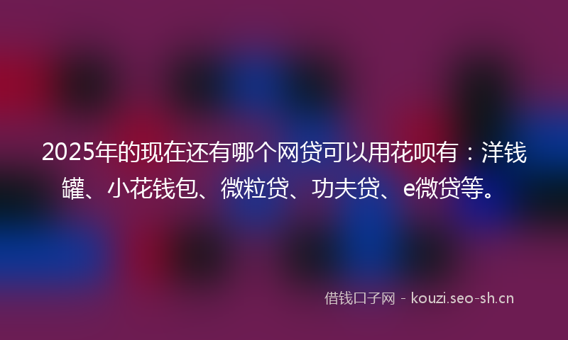 2025年的现在还有哪个网贷可以用花呗有：洋钱罐、小花钱包、微粒贷、功夫贷、e微贷等。