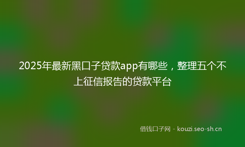 2025年最新黑口子贷款app有哪些，整理五个不上征信报告的贷款平台