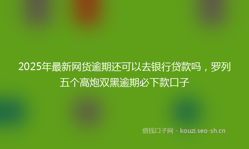 2025年最新网货逾期还可以去银行贷款吗，罗列五个高炮双黑逾期必下款口子