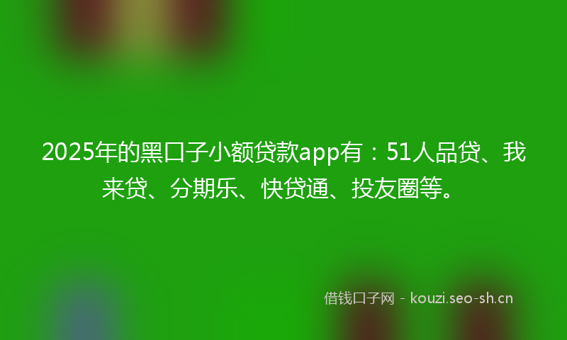 2025年的黑口子小额贷款app有：51人品贷、我来贷、分期乐、快贷通、投友圈等。