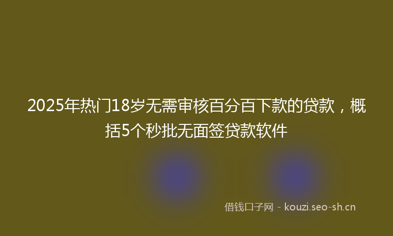 2025年热门18岁无需审核百分百下款的贷款，概括5个秒批无面签贷款软件