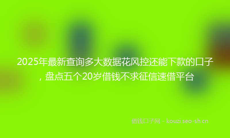 2025年最新查询多大数据花风控还能下款的口子，盘点五个20岁借钱不求征信速借平台