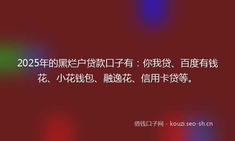 2025年的黑烂户贷款口子有：你我贷、百度有钱花、小花钱包、融逸花、信用卡贷等。
