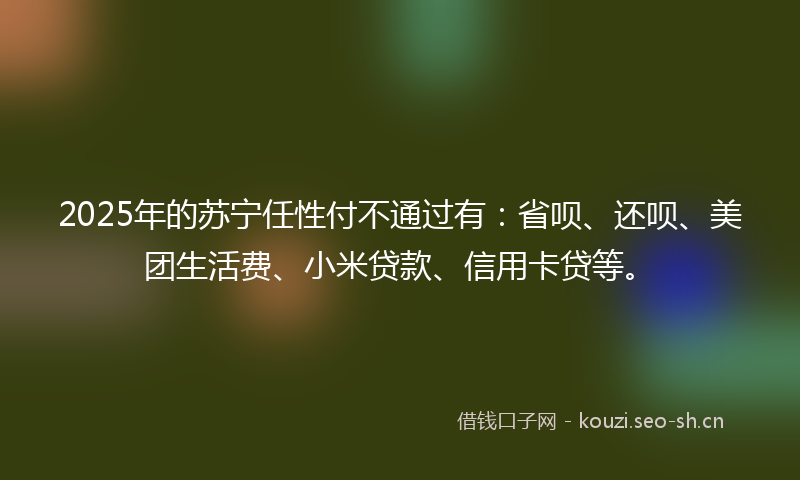 2025年的苏宁任性付不通过有：省呗、还呗、美团生活费、小米贷款、信用卡贷等。