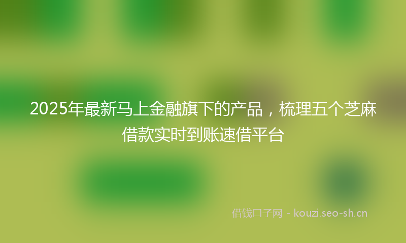 2025年最新马上金融旗下的产品，梳理五个芝麻借款实时到账速借平台