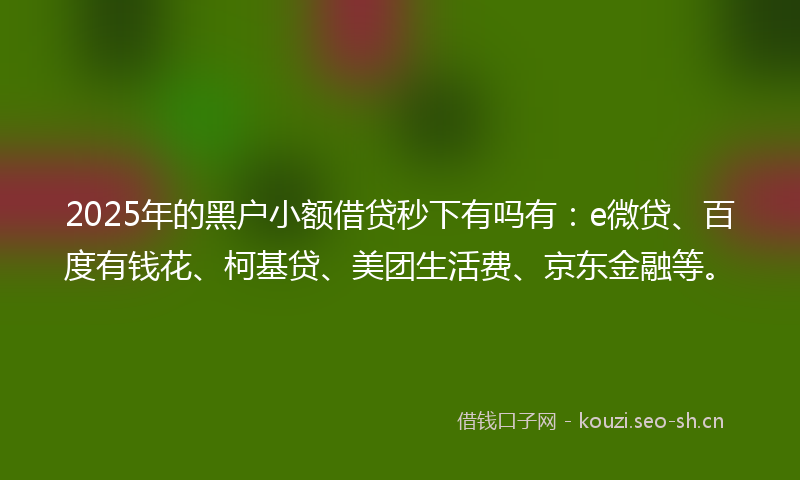 2025年的黑户小额借贷秒下有吗有：e微贷、百度有钱花、柯基贷、美团生活费、京东金融等。