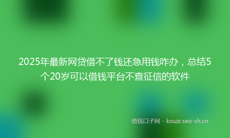 2025年最新网贷借不了钱还急用钱咋办，总结5个20岁可以借钱平台不查征信的软件