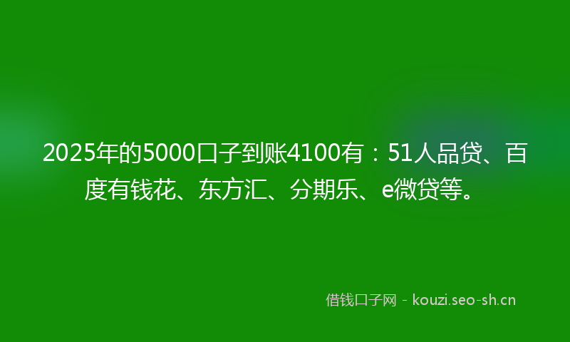 2025年的5000口子到账4100有：51人品贷、百度有钱花、东方汇、分期乐、e微贷等。