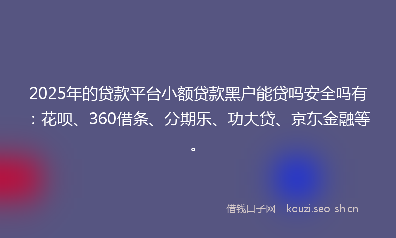 2025年的贷款平台小额贷款黑户能贷吗安全吗有：花呗、360借条、分期乐、功夫贷、京东金融等。