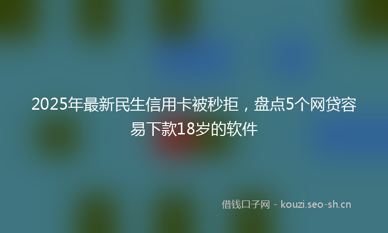 2025年最新民生信用卡被秒拒，盘点5个网贷容易下款18岁的软件