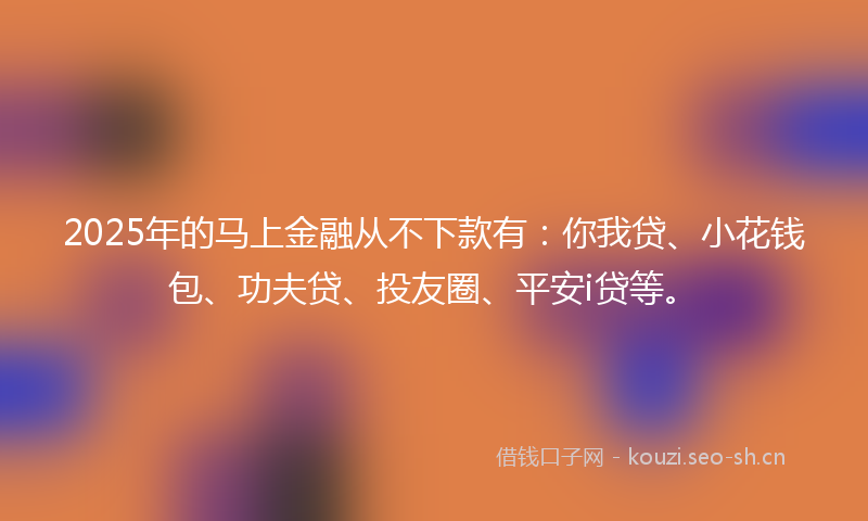 2025年的马上金融从不下款有：你我贷、小花钱包、功夫贷、投友圈、平安i贷等。