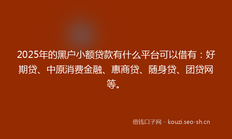 2025年的黑户小额贷款有什么平台可以借有：好期贷、中原消费金融、惠商贷、随身贷、团贷网等。