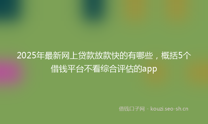 2025年最新网上贷款放款快的有哪些，概括5个借钱平台不看综合评估的app