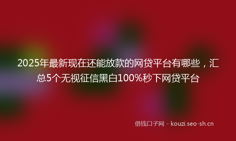 2025年最新现在还能放款的网贷平台有哪些，汇总5个无视征信黑白100%秒下网贷平台
