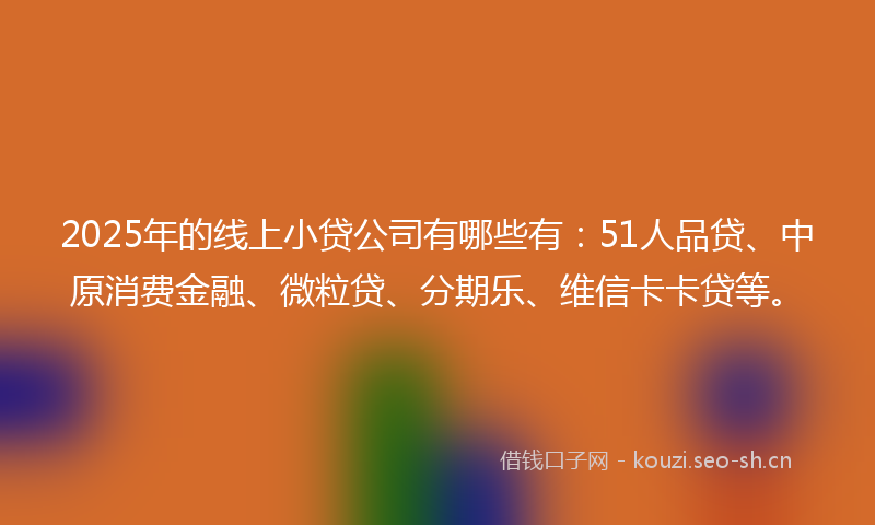 2025年的线上小贷公司有哪些有：51人品贷、中原消费金融、微粒贷、分期乐、维信卡卡贷等。