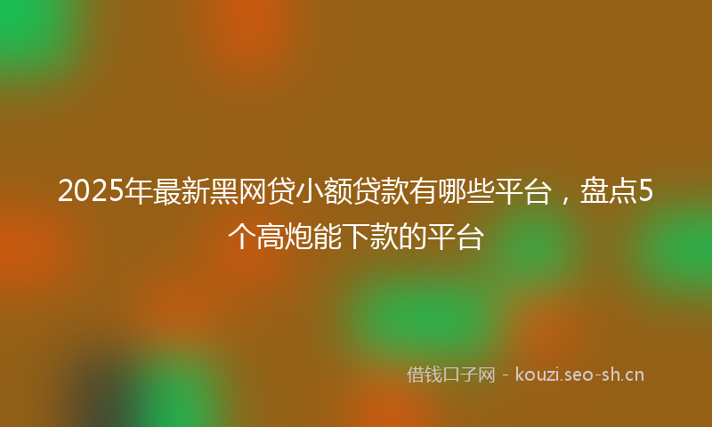 2025年最新黑网贷小额贷款有哪些平台，盘点5个高炮能下款的平台