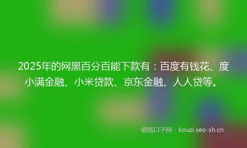 2025年的网黑百分百能下款有：百度有钱花、度小满金融、小米贷款、京东金融、人人贷等。