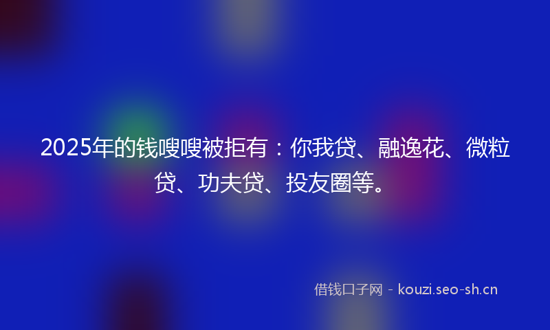 2025年的钱嗖嗖被拒有：你我贷、融逸花、微粒贷、功夫贷、投友圈等。