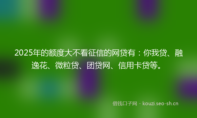 2025年的额度大不看征信的网贷有：你我贷、融逸花、微粒贷、团贷网、信用卡贷等。