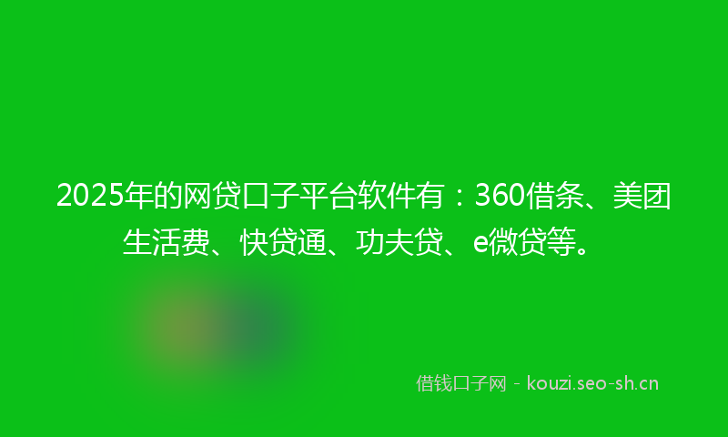 2025年的网贷口子平台软件有：360借条、美团生活费、快贷通、功夫贷、e微贷等。