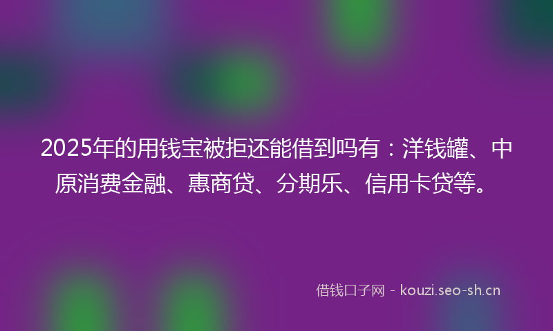 2025年的用钱宝被拒还能借到吗有：洋钱罐、中原消费金融、惠商贷、分期乐、信用卡贷等。