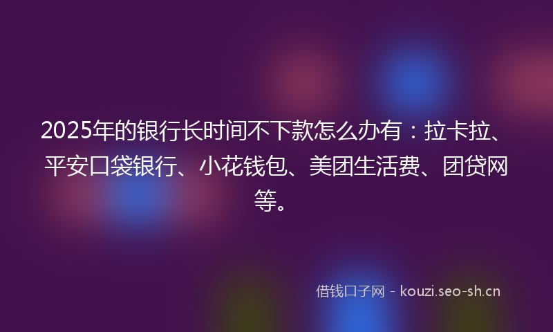 2025年的银行长时间不下款怎么办有：拉卡拉、平安口袋银行、小花钱包、美团生活费、团贷网等。
