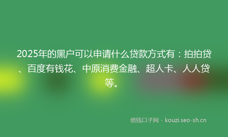 2025年的黑户可以申请什么贷款方式有：拍拍贷、百度有钱花、中原消费金融、超人卡、人人贷等。
