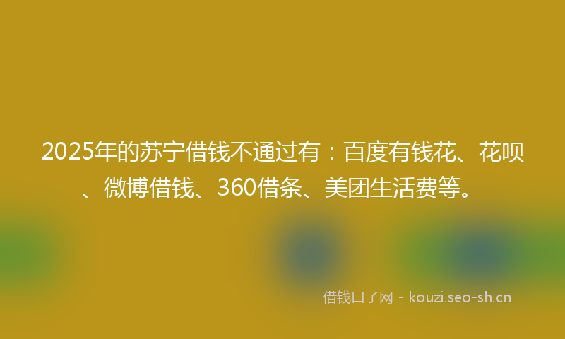 2025年的苏宁借钱不通过有：百度有钱花、花呗、微博借钱、360借条、美团生活费等。