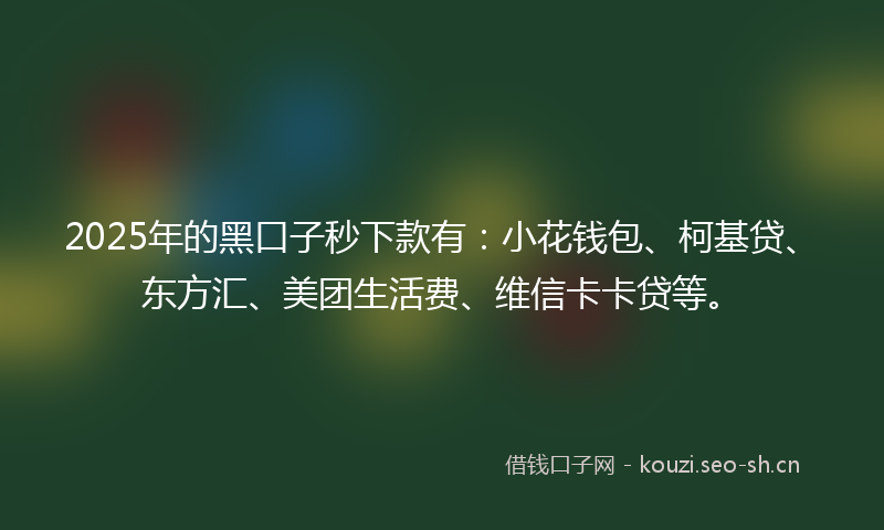 2025年的黑口子秒下款有：小花钱包、柯基贷、东方汇、美团生活费、维信卡卡贷等。