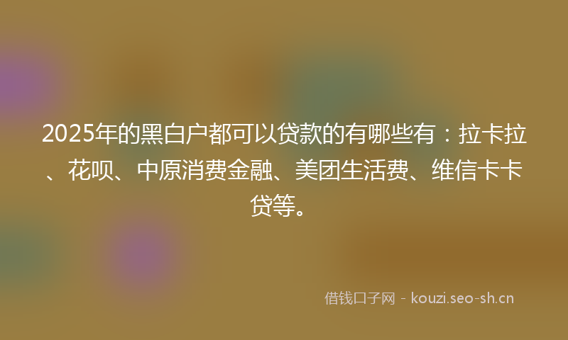 2025年的黑白户都可以贷款的有哪些有：拉卡拉、花呗、中原消费金融、美团生活费、维信卡卡贷等。