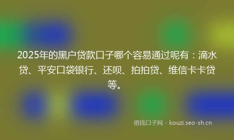 2025年的黑户贷款口子哪个容易通过呢有：滴水贷、平安口袋银行、还呗、拍拍贷、维信卡卡贷等。