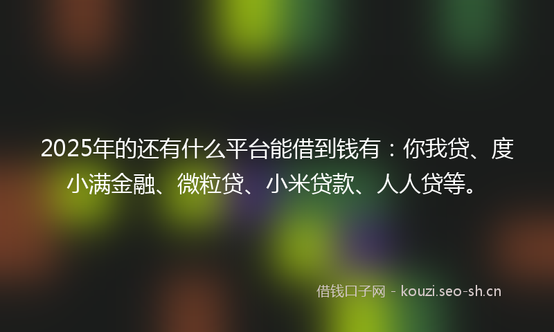 2025年的还有什么平台能借到钱有：你我贷、度小满金融、微粒贷、小米贷款、人人贷等。