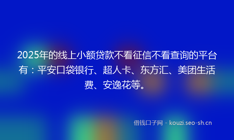 2025年的线上小额贷款不看征信不看查询的平台有：平安口袋银行、超人卡、东方汇、美团生活费、安逸花等。