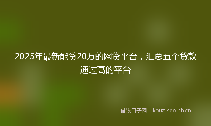 2025年最新能贷20万的网贷平台，汇总五个贷款通过高的平台