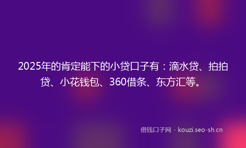 2025年的肯定能下的小贷口子有：滴水贷、拍拍贷、小花钱包、360借条、东方汇等。