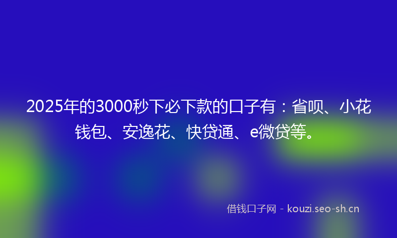 2025年的3000秒下必下款的口子有：省呗、小花钱包、安逸花、快贷通、e微贷等。
